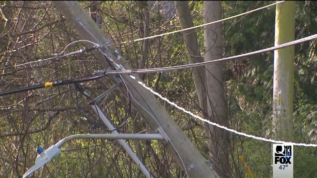 Seattle wires down