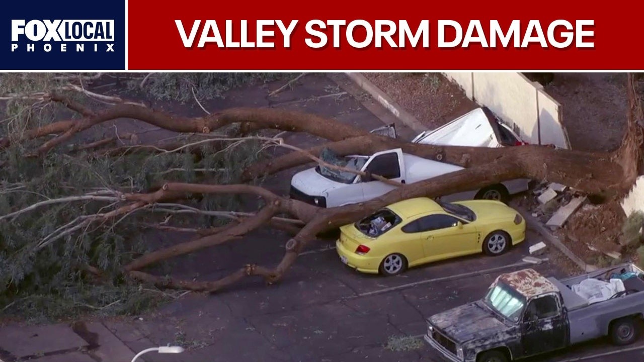 Storms slam West Valley, leaving behind widespread damage