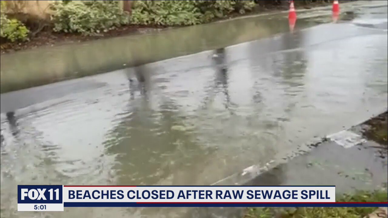 Raw sewage spills into streets prompting closure of beaches in LA, Long Beach