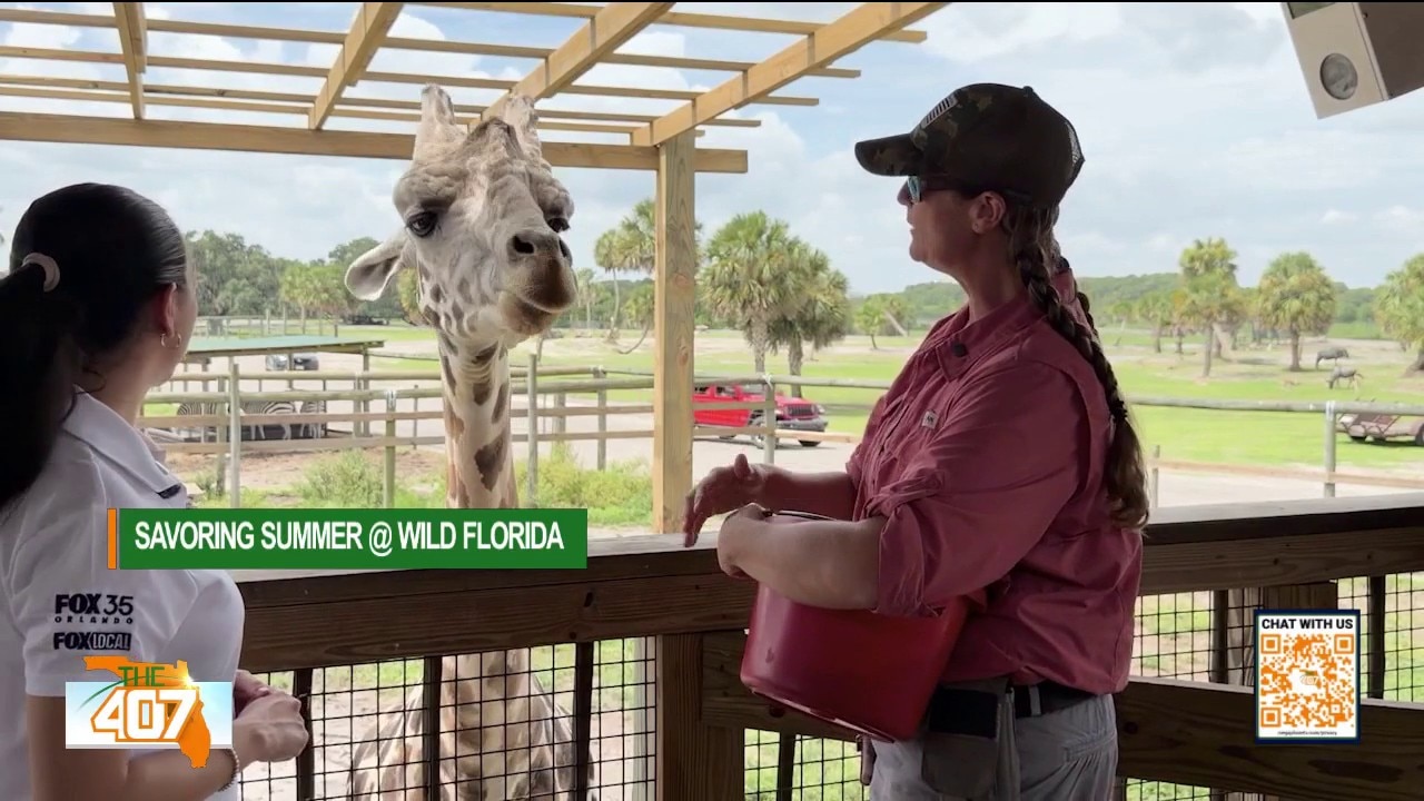 Save big on Wild Florida's drive-thru safari before school starts