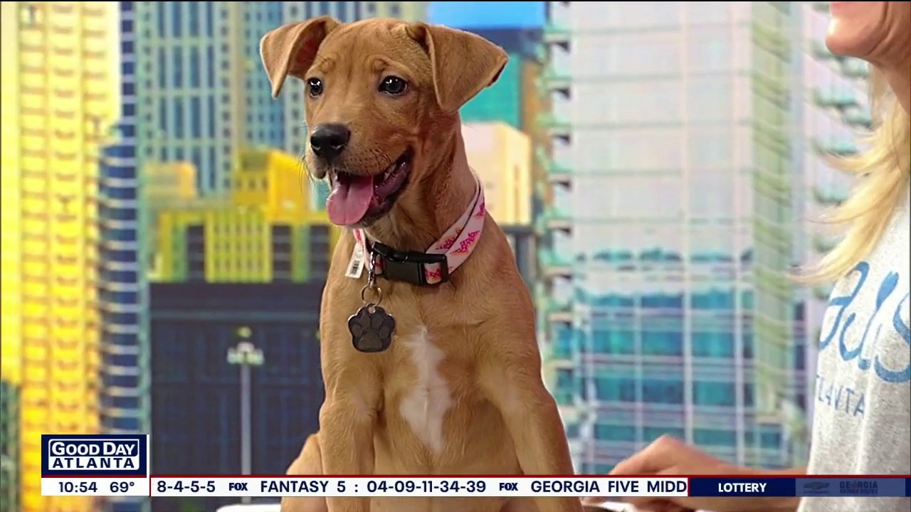 Pet of the day: Kya