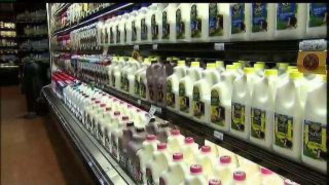 Dr. Mark Obermyer debunks dairy myths