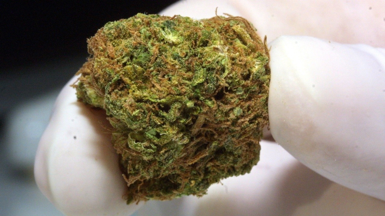 Study examines marijuana use and sleep quality