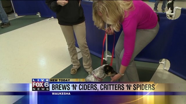 What else does your attendance at Brews`N`Ciders support?