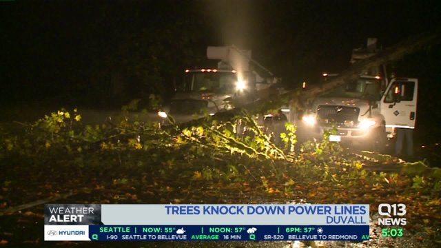 Trees knock down power lines in Duvall