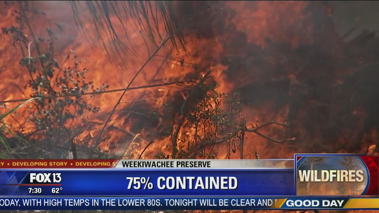 Hernando wildfire consumes 1,100 acres