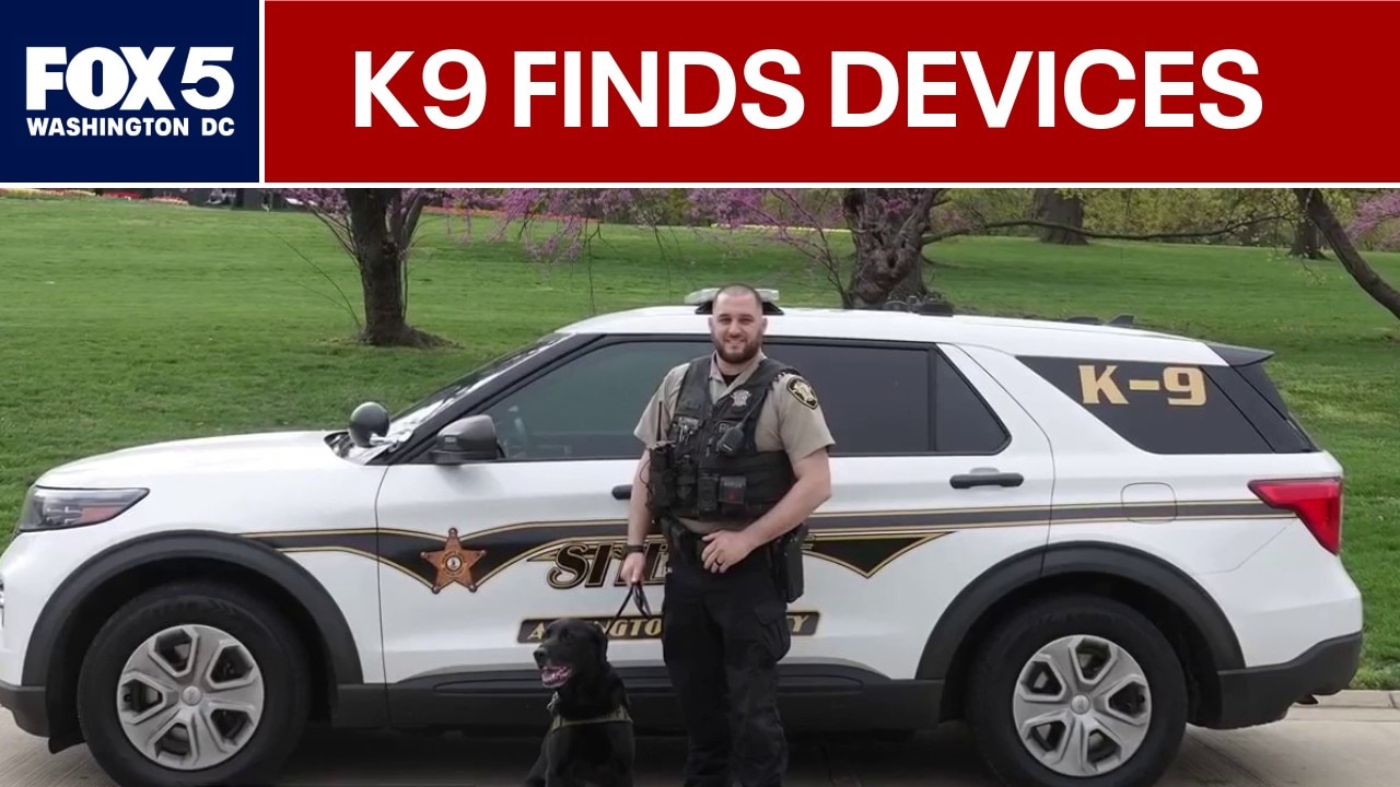 Electronic sniffing K9 coming to Arlington County Police Department