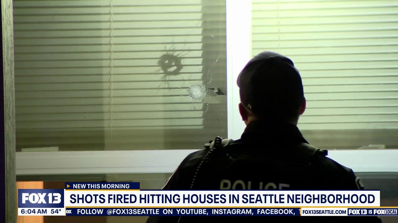 Shots fired hitting houses in South Seattle neighborhood