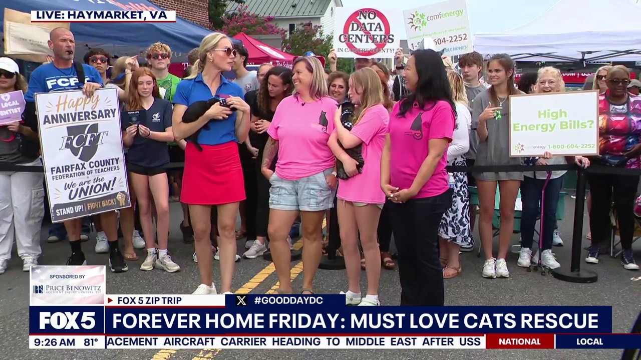 Forever Home Friday: Must Love Cats Rescue