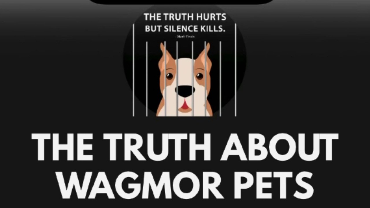 Wagmor Pets accused of buying, reselling dogs