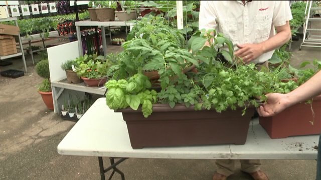 Chip learns about a workshop that will help you freshen up your gardening skills