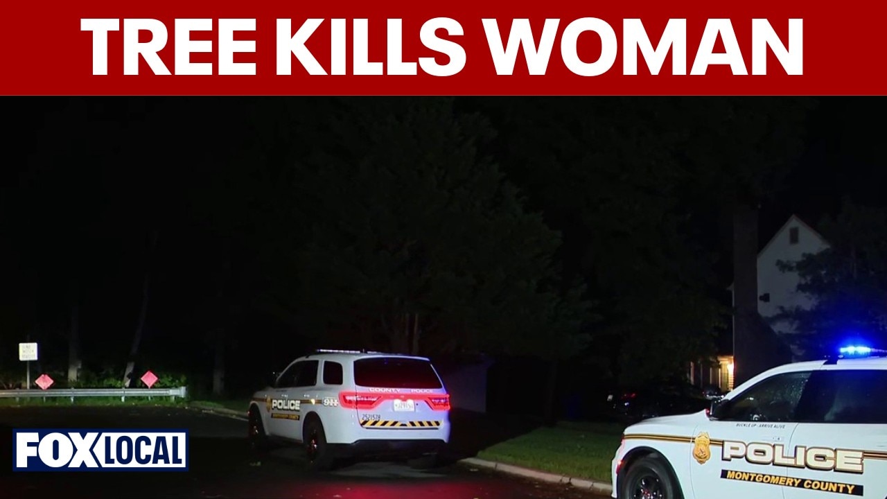 Woman dies after being pinned by fallen tree in Maryland