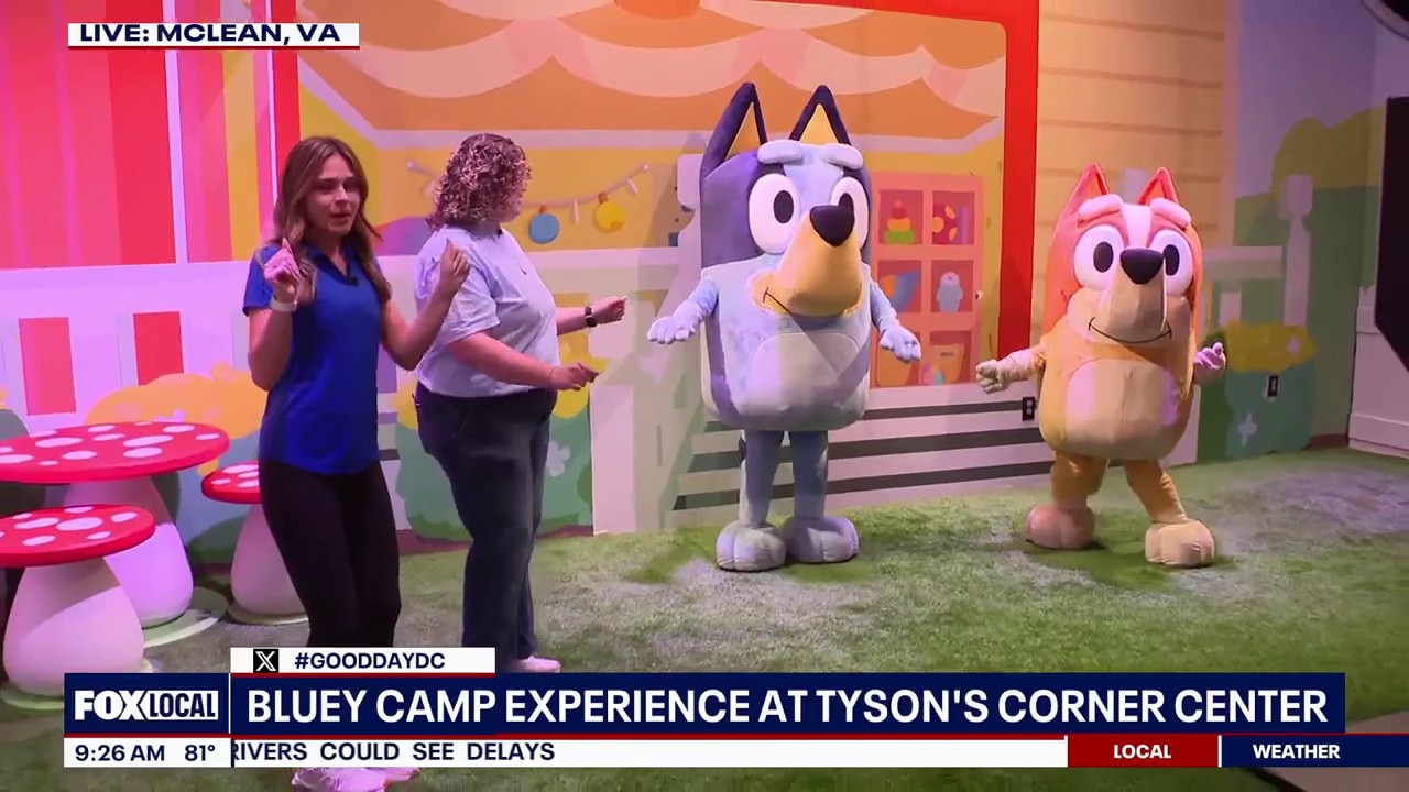 Bluey x CAMP: Bluey's House 