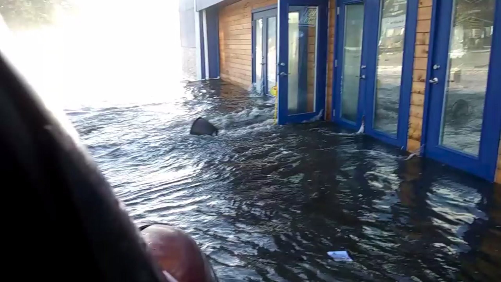 Viewer video: Jason Higgins and John Galen