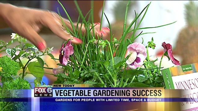 Tips for making your vegetable garden a success