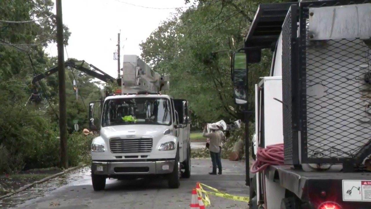 Huge tree falls in Brookhaven following Isaias impacts 