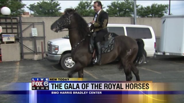 Laura talks horse training as she previews The Gala of the Royal Horses