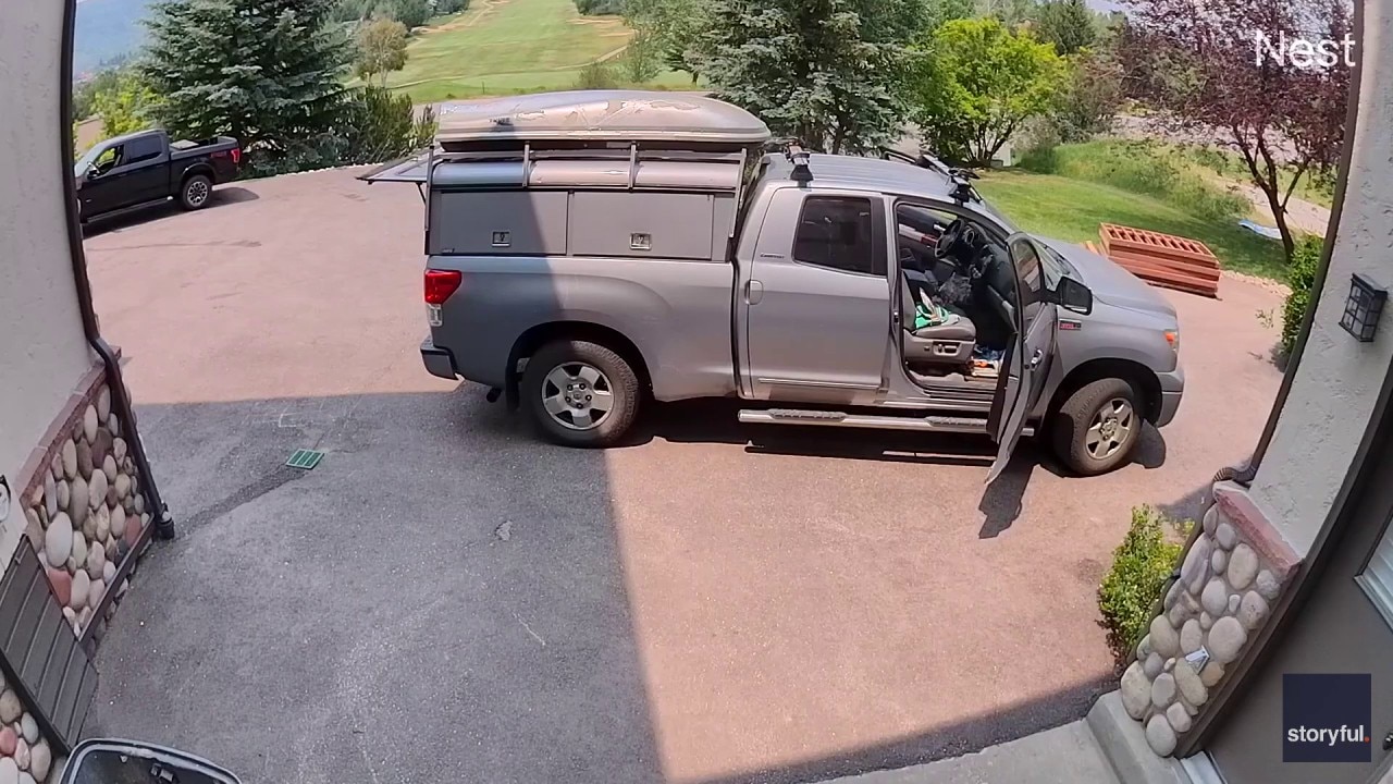 Man surprised to find bear waiting in his truck