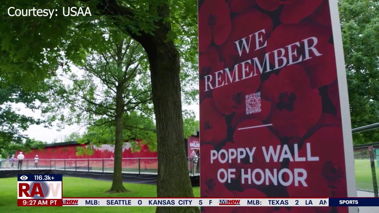 Poppy Wall of Honor Pays Tribute to Over 600,000 Fallen Service Members