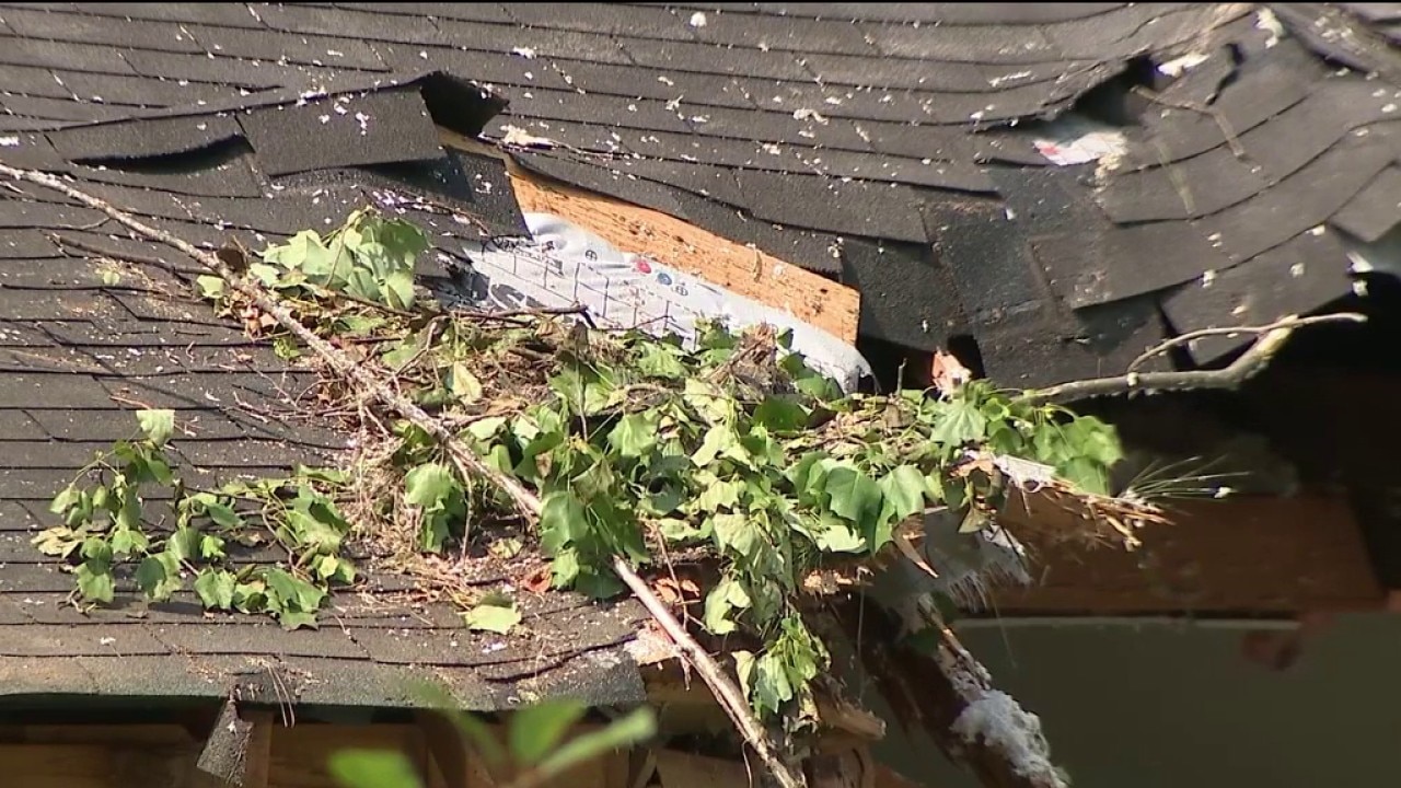 Decatur woman killed after tree fell on home identified
