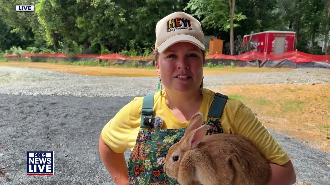 Unearthing Unleaded: Urban farm gets a fresh start