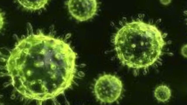 Pierce County flu death
