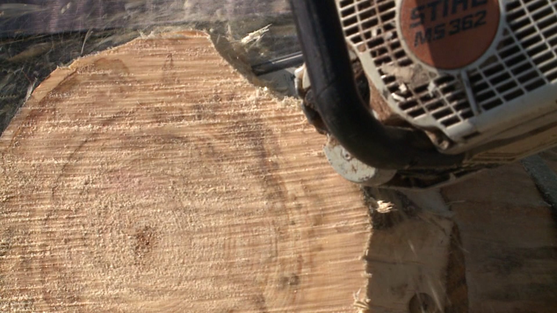 Chainsaw competition