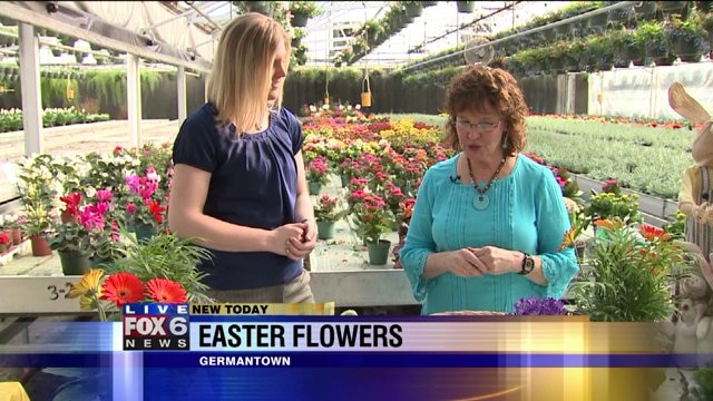 Get ready for Easter with some fun flower arrangements