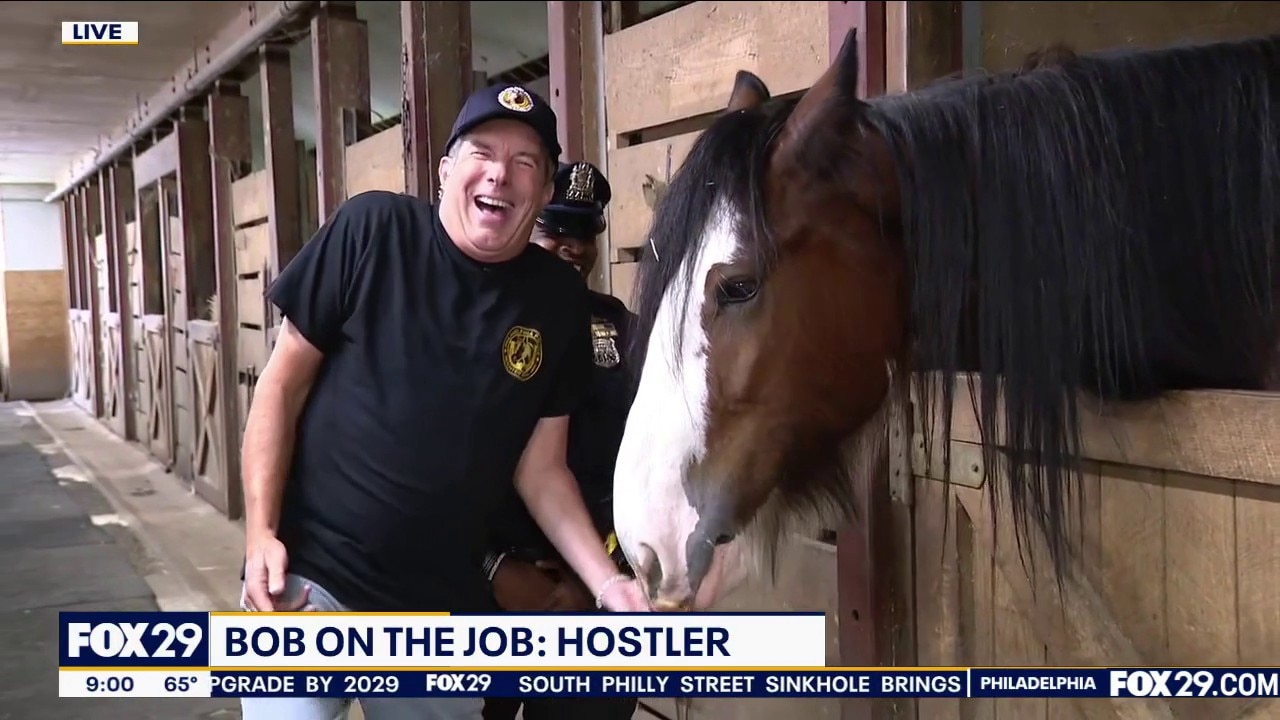 Bob On The Job: Hostler