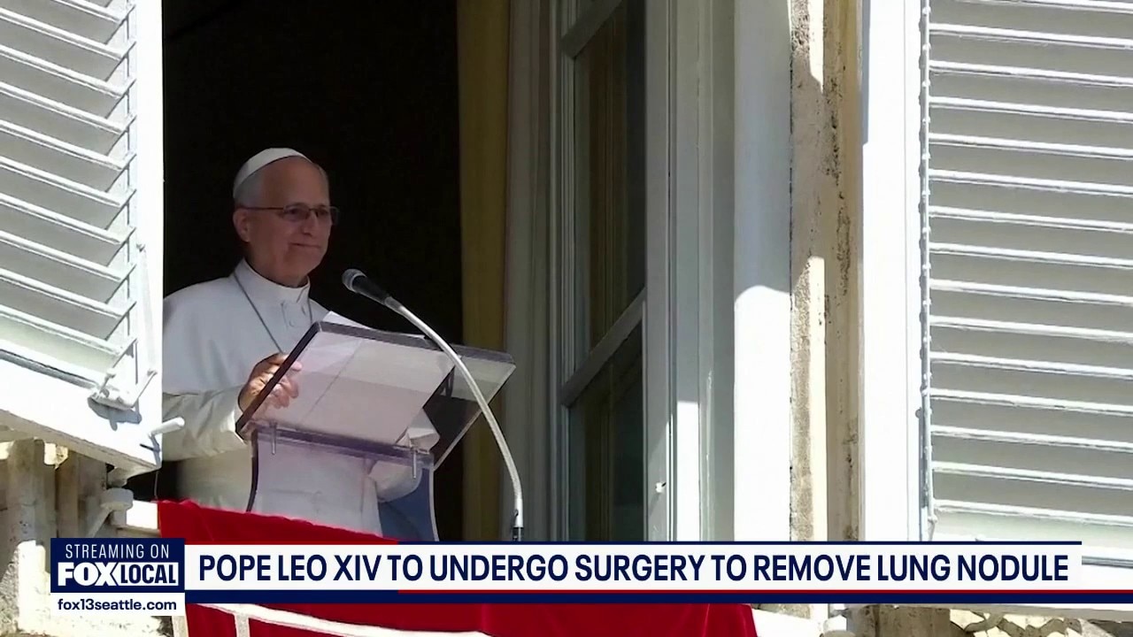 Pope Leo cancels public appearances ahead of surgery