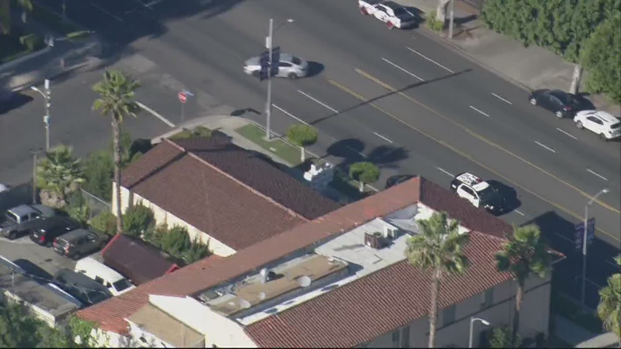 Attempted kidnapping of toddler