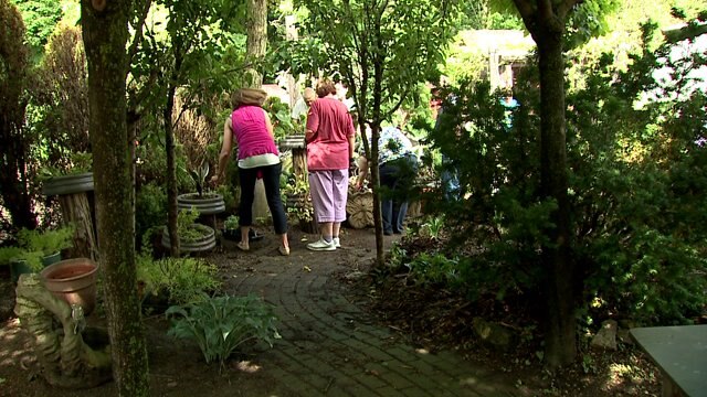 New garden in South Milwaukee promotes health, healing
