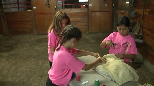 Kramp learns about fun activities at Knollwood Farm