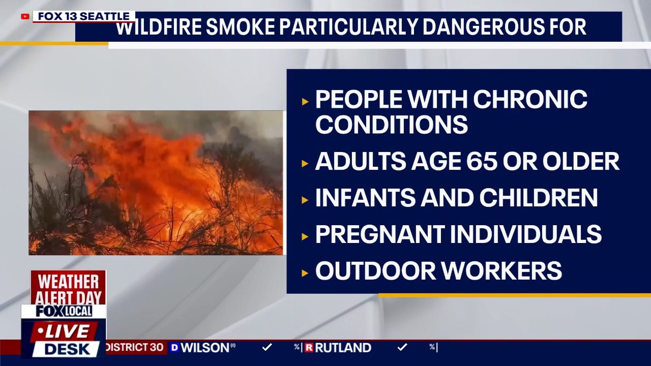 Doctor explains how wildfire smoke can impact health