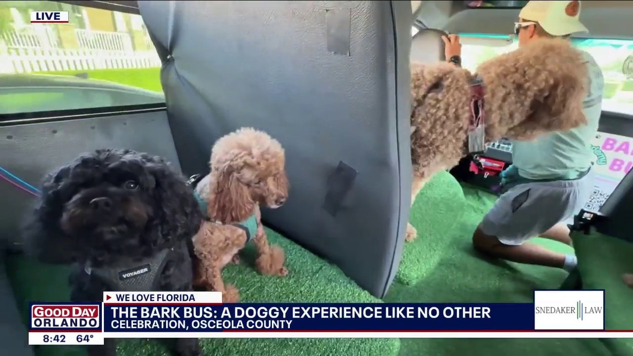 Inside Paw Academy's Bark Bus