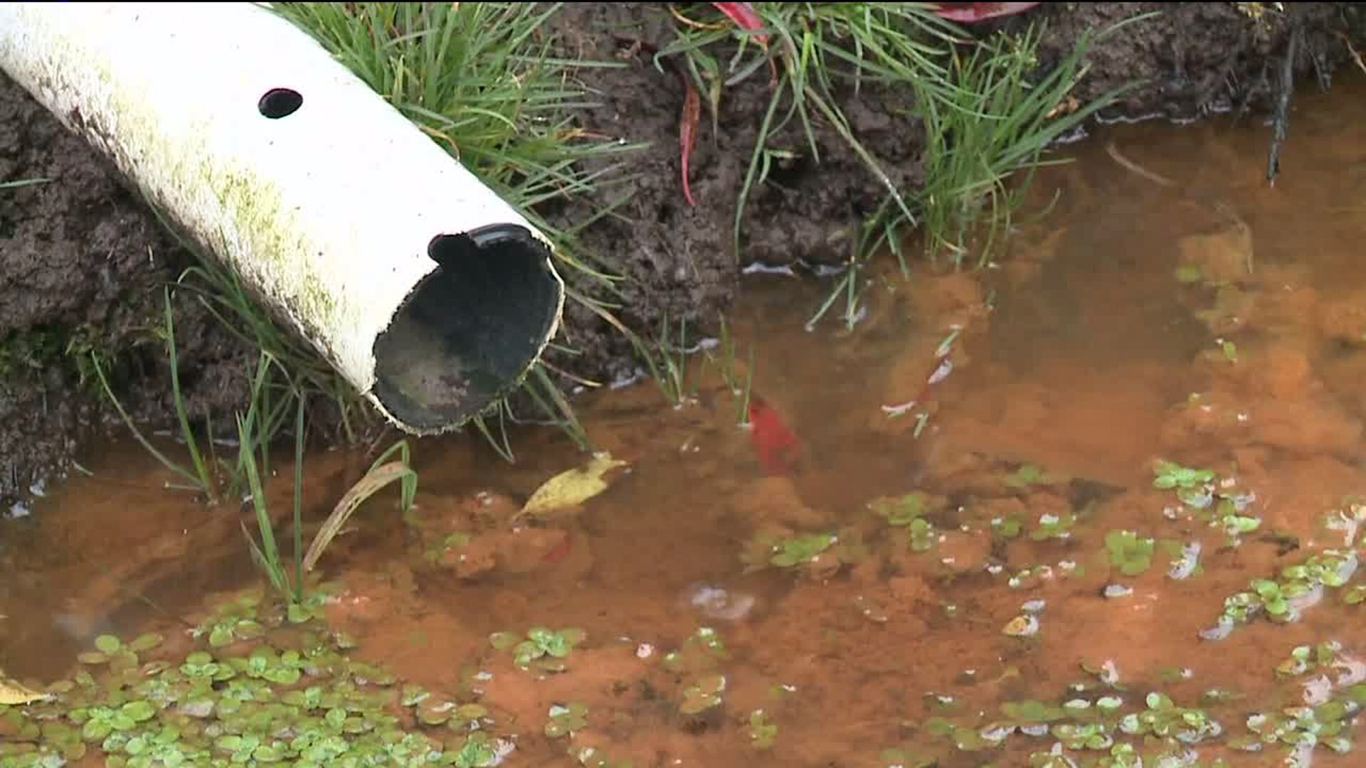 Algona: Worries over water