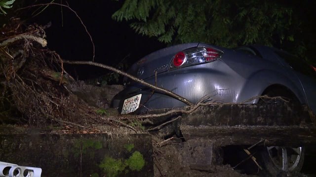 Maple Valley landslide