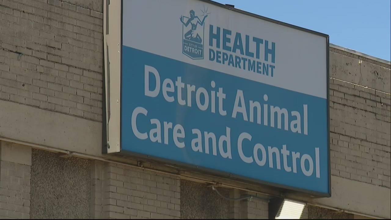 Detroit Animal Care to get upgraded facility