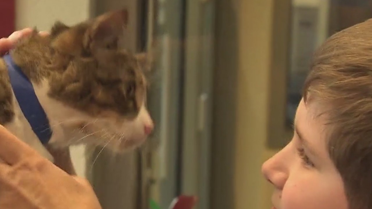 Ask the Pet Vet: Keeping pets happy