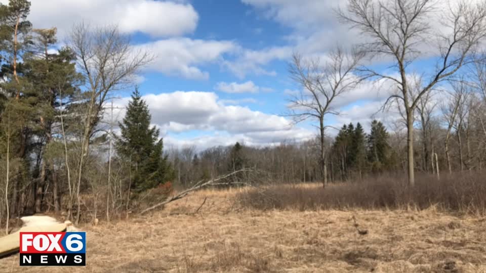 Signs of spring