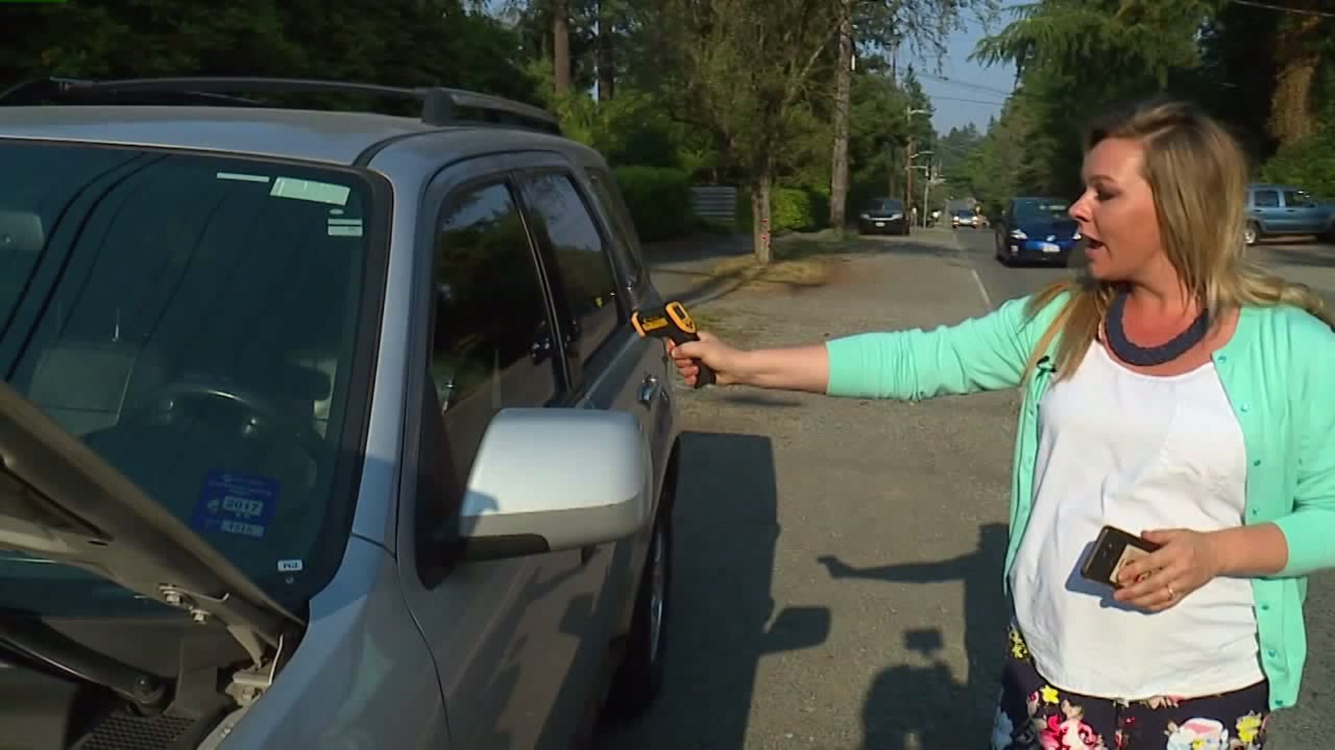 Hot car problems
