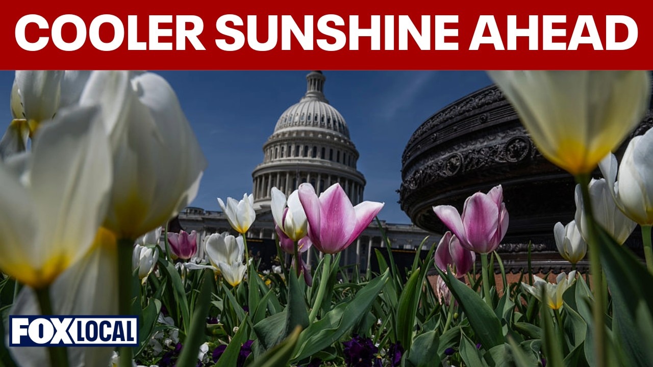 Showers and rain linger tonight before cooler sunshine returns Monday