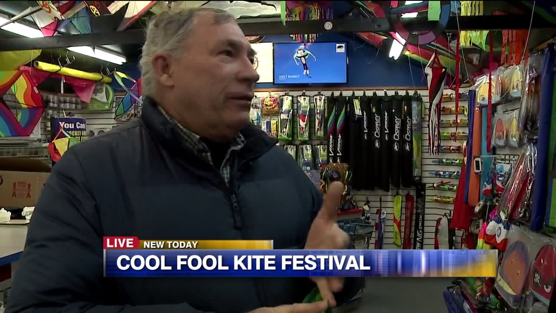 Cool Fool Kite Festival