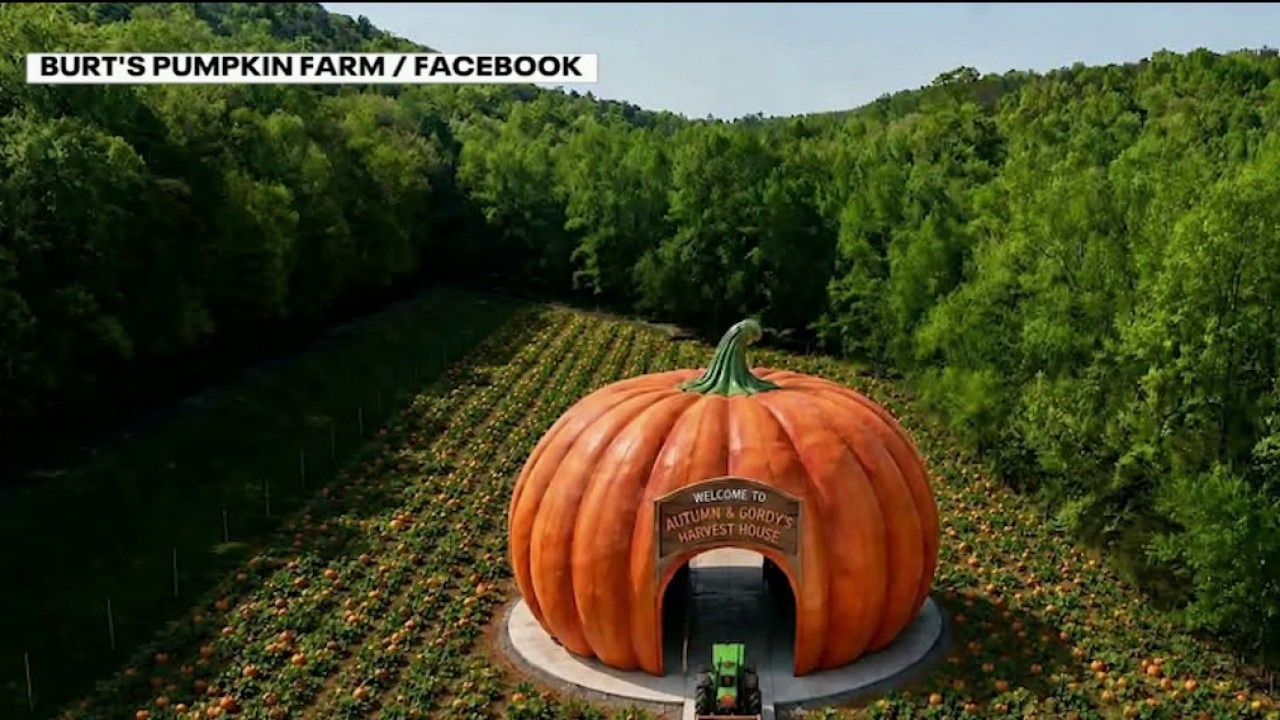 Slow internet in GA; Ride Chee Strong; drive-thru pumpkin