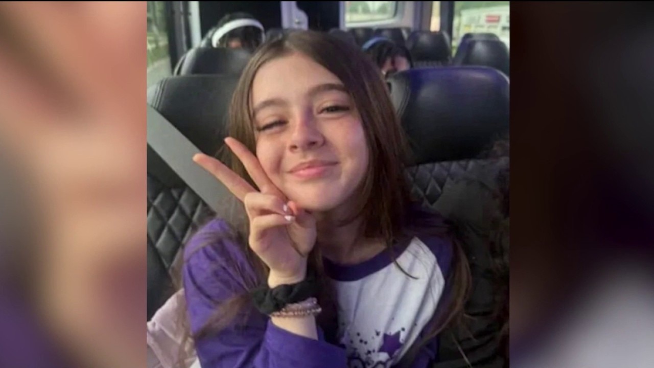 Family of Violet Harris seeks answers after deadly hit-and-run in Chicago