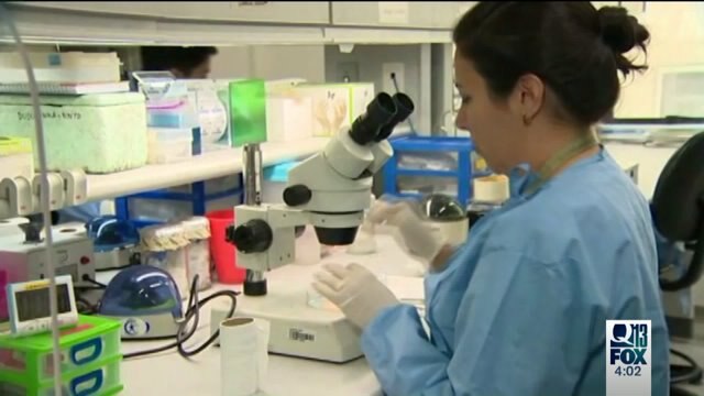 Zika virus