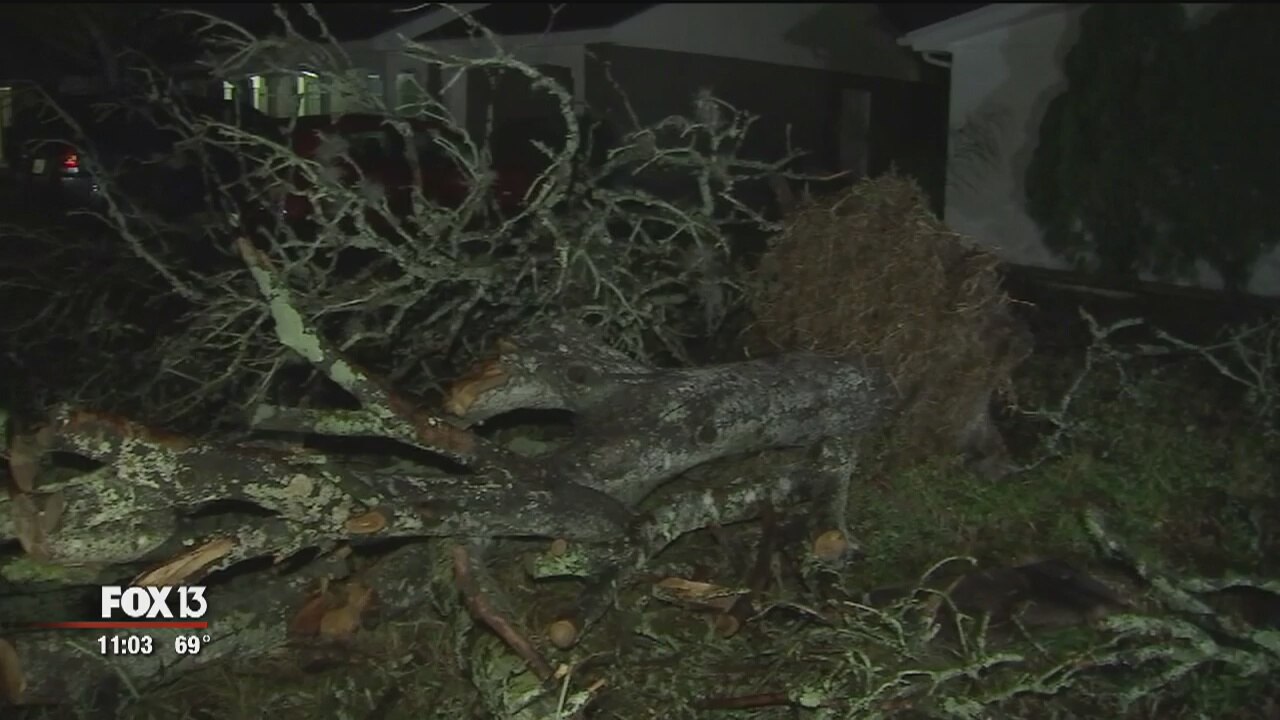 Pasco County storm damage