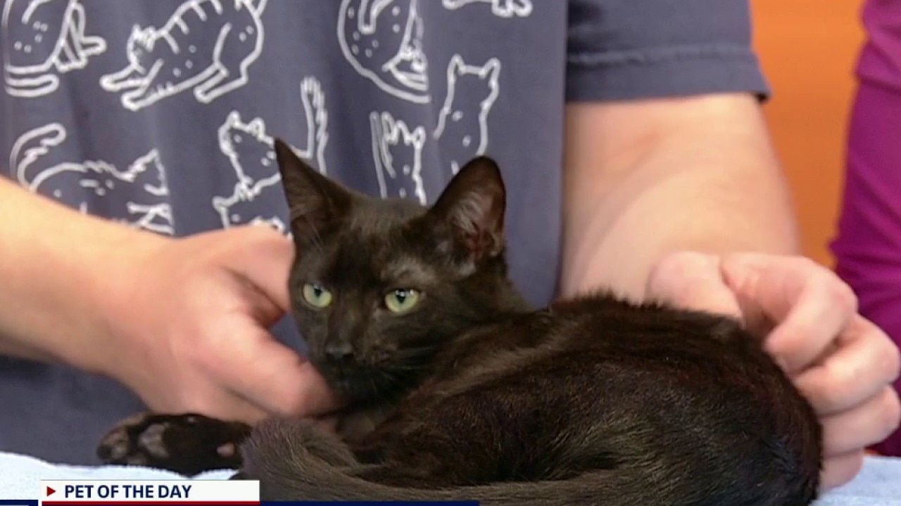Pet of the day: Flora