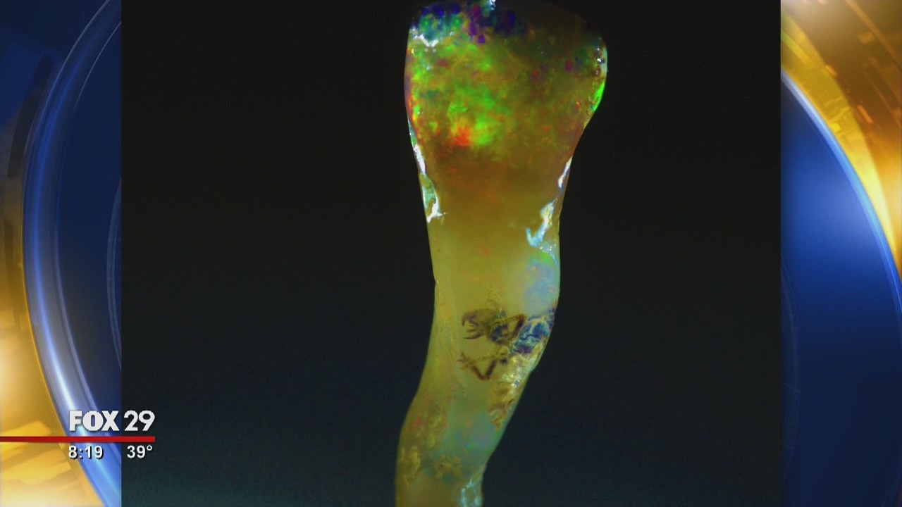 Rare opal found with insect inside