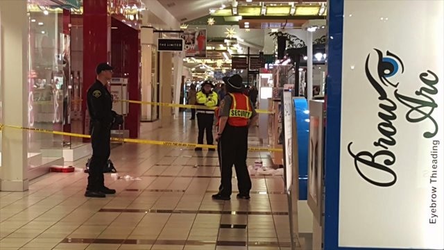 Alderwood Mall stabbing